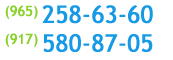 (917) 580-87-05, (905) 592-41-11